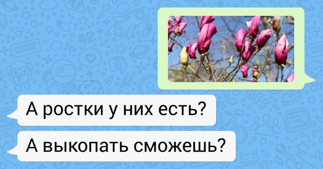 20+ доказів того, що логіка наших мам абсолютно неповторна