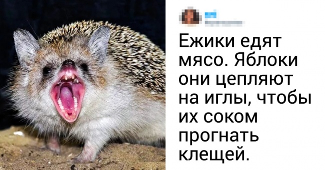 15 відкриттів від користувачів мережі, які непросто буде викинути з голови