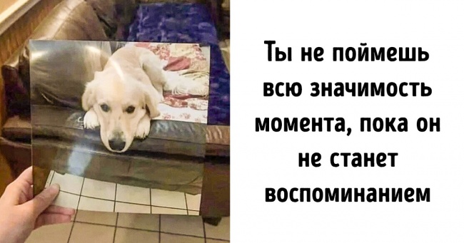 16 фото, кожне з яких розповість пронизливу історію без єдиного слова