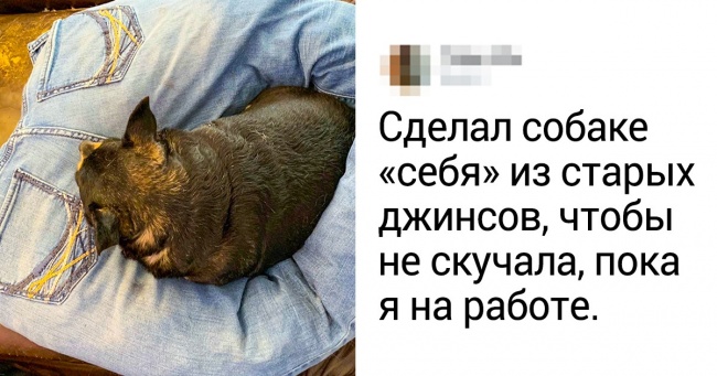20+ людей, у яких вистачить кмітливості і на себе і на оточуючих