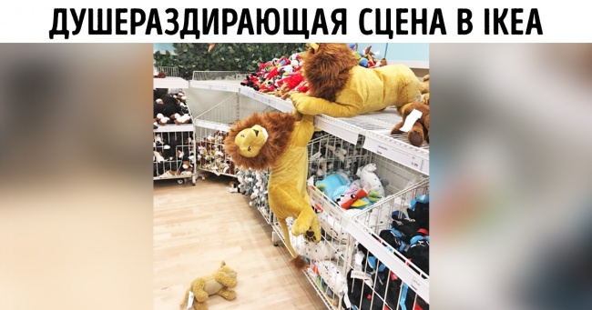 25 випадкових сцен з життя, які за напруженням пристрастей дадуть фору серіалів 90-х