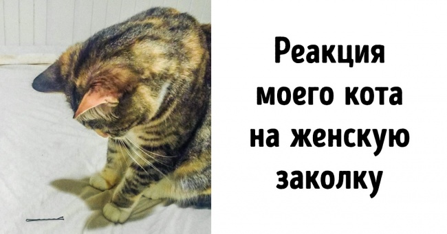 20+ доказів того, що життя на самоті — це не туга, а пригода