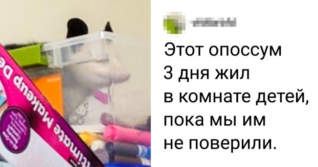 26 батьків, які заслужили відпустку більше вашого