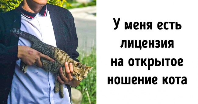 15 фото, які були б звичайними, якщо б не крута підпис