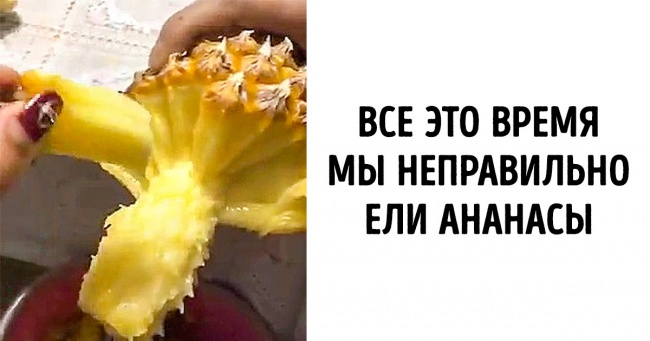 24 користувача мережі, які стоять на порозі грандіозного відкриття