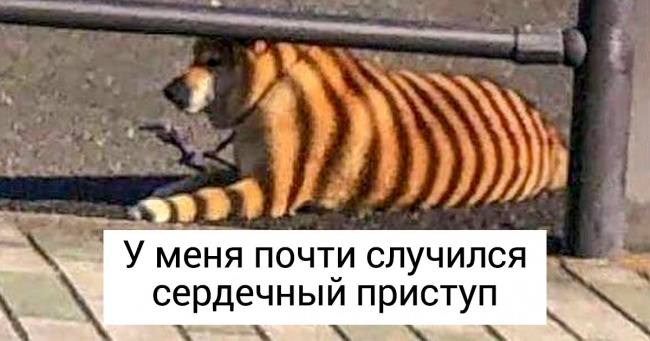 17 раз, коли життя ставило людей у глухий кут, а вони цього зовсім не чекали