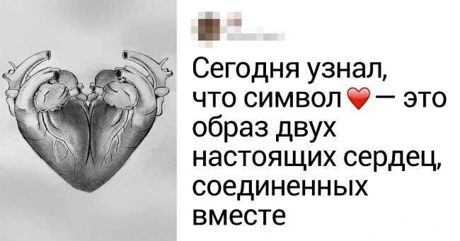 18 користувачів мережі, які знають про цьому світі більше, ніж гугл