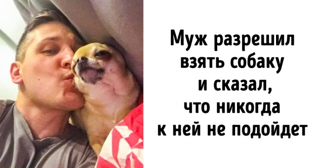 20+ читачів AdMe.ru, які були категорично проти домашніх тварин, а зараз від них без розуму
