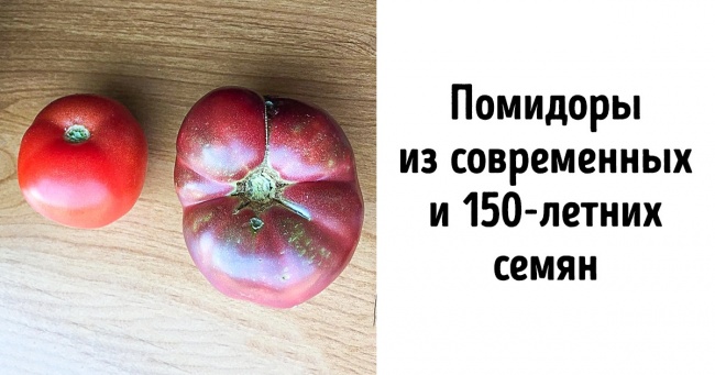 20+ речей, які по-справжньому пізнаються тільки в порівнянні