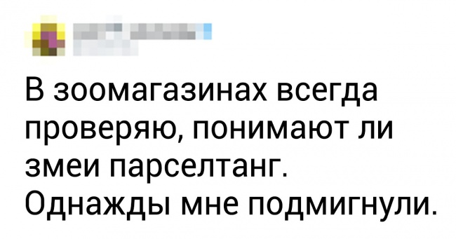20 користувачів твіттера розповіли про свої дивні звички
