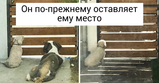 18 фото про самотність, героїв яких хочеться терміново обійняти (І весь світ заодно)