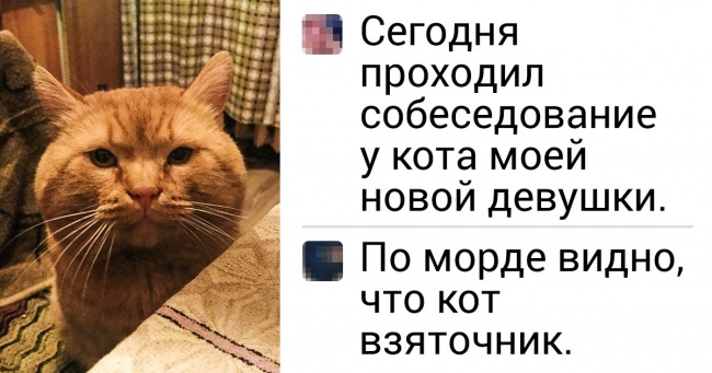 15+ коментарів від користувачів соцмереж, які парою фраз здатні зробити наш день