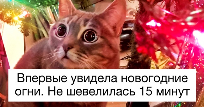 27 речей, які сталися з ким-то в перший раз і викликали цілу бурю емоцій