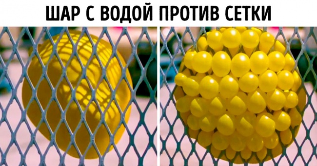 19 цікавих речей, які для багатьох стануть повною несподіванкою