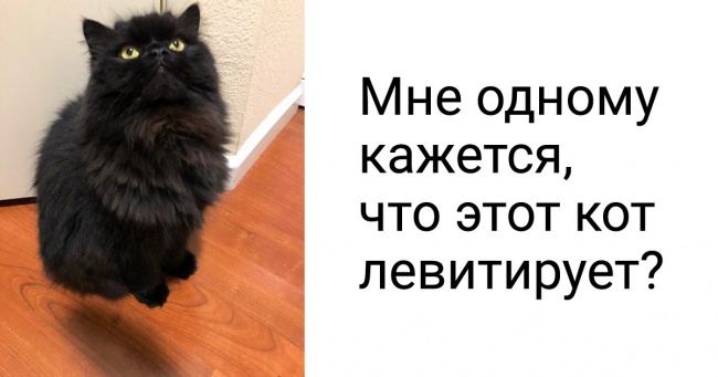 20 фото від людей, яким вічно щось ввижається