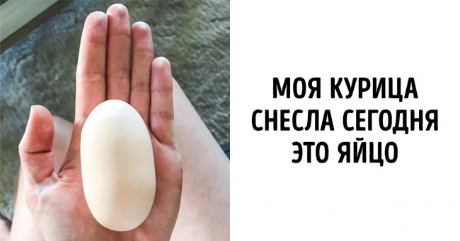 20+ рідкісних знімків, які розкажуть вам більше десятка статей в «Вікіпедії»