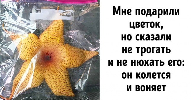 20+ випадків, коли розв'язка виявилася набагато занимательнее самої історії