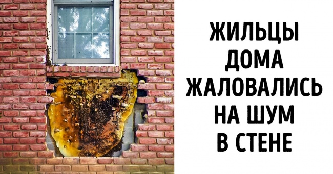 20+ людей, для яких у долі погані новини