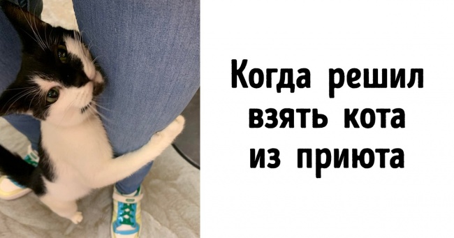 20+ фото, на яких рівень щастя не виміряти ні за однією шкалою