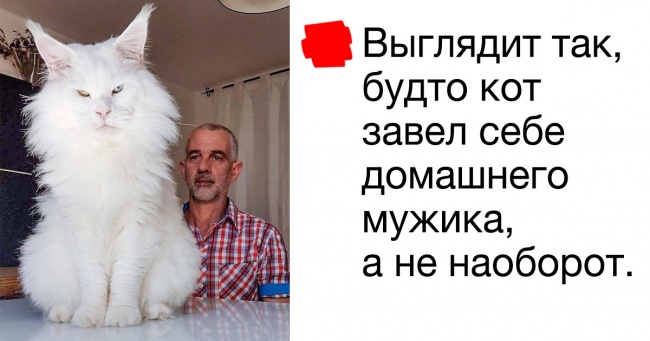16 коментарів від тих, хто не в змозі вимкнути свій фонтан дотепності