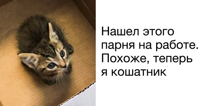 23 докази того, що улюблене заняття Всесвіту — влаштовувати для нас міні-сюрпризи