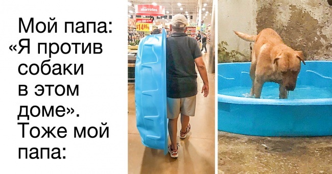 16 переконливих доказів того, що чоловіча логіка нічим не поступається жіночої