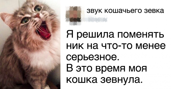 Користувачі інтернету відкривають таємниці виникнення своїх ніків (Про бубонці — шедевр)