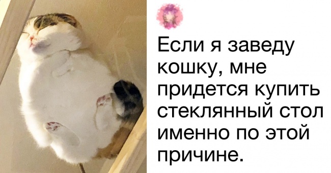 19 переможців чемпіонату світу з інтернет-коментарів (Ну, могли б стати, якби він існував)