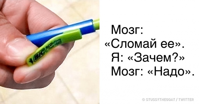 24 докази того, що часом всі ми ведемо себе однаково