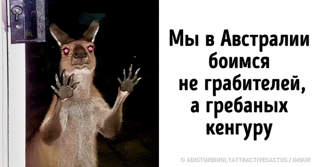 20+ знімків, які піднімають рівень адреналіну в крові
