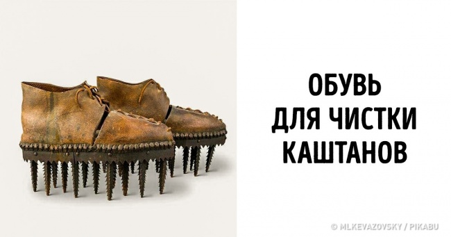 20+ рідкісних фотографій, які точно поповнять ваш багаж знань (Чого тільки варта скелет їжака)
