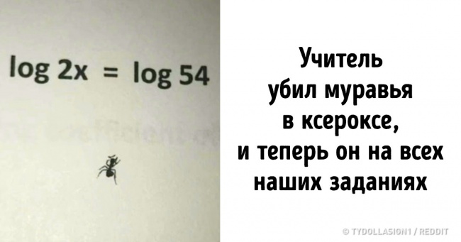 20+ вчителів, які заткнуть за пояс будь-якого стендап-комік