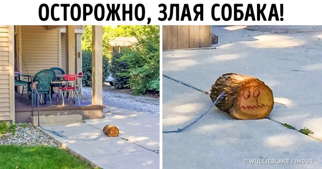 19 фото, поглянувши на які мимоволі думаєш: «Як же нудно я живу»