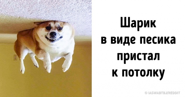 17 доказів того, що у людей з багатою уявою життя занимательнее, ніж у інших