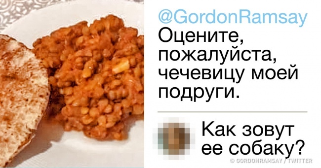 Люди пропонують знаменитого кухаря Гордона Рамзі оцінити їх страви (Спойлер: багато вже пошкодували про це)