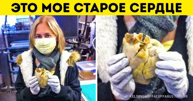 20 особливих моментів з життя звичайних людей, за яких радієш як за себе