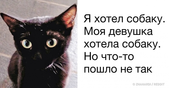 В житті не завжди все йде за наміченим планом, і ось наочні докази