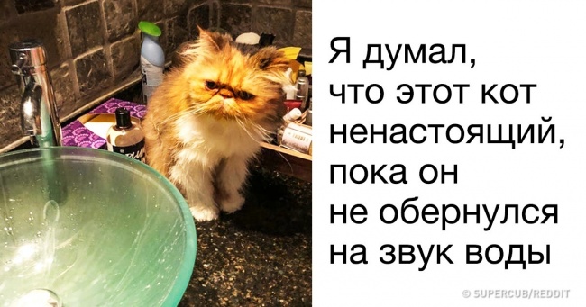 Фотографії, на які достатньо поглянути лише раз, щоб на все життя перейнятися відчуттям важливості моменту
