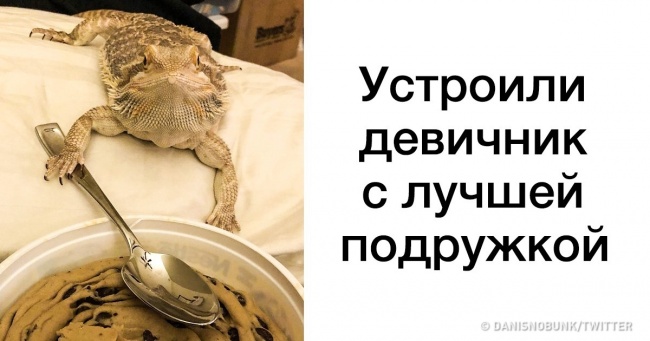 В світі завжди є місце справжню дружбу. Якщо сумніваєтеся, погляньте на кілька фото