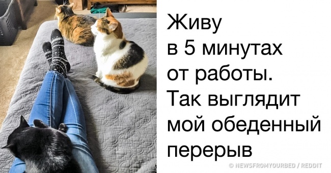 Фото, які наочно доводять, що у інтровертів свій рай, в якому немає місця для сторонніх