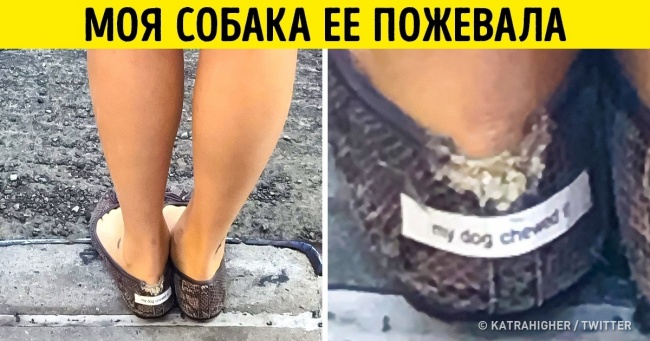 Деякі люди не опускають руки навіть у найбільш програшній ситуації, і у них є чому повчитися