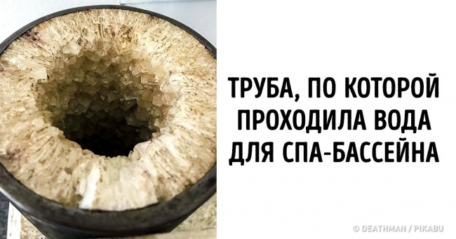 15 доказів того, що цей світ ще здатний здивувати нас