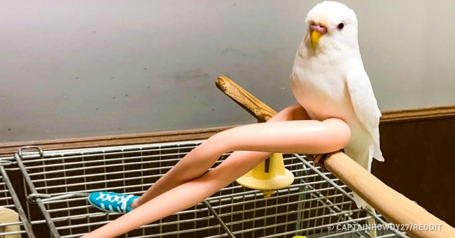 15 доказів того, що люди з багатою уявою живуть в сто разів цікавіше інших