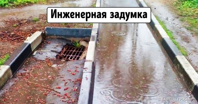 20+ доказів того, що абсурд нас чекає буквально на кожному кроці