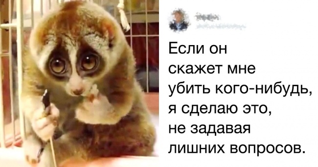 16 коментарів від володарів найбільш гострих мов в інтернеті