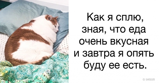 20 твітів, які доводять, що ми схожі один на одного більше, ніж думаємо