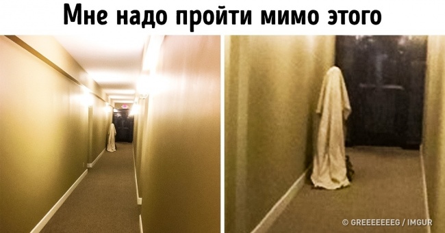 18 фотографій, від яких пробиває холодний піт
