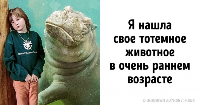 Користувачі мережі розповіли, з якою твариною вони себе асоціюють. І це, напевно, самий смішний флешмоб в історії
