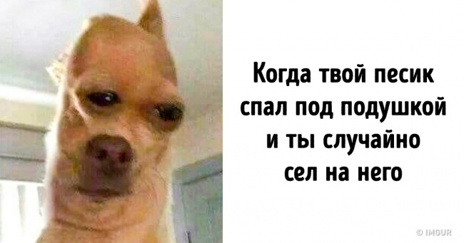 16 льодових кров жартів від людей, чиє почуття гумору чорніше ночі