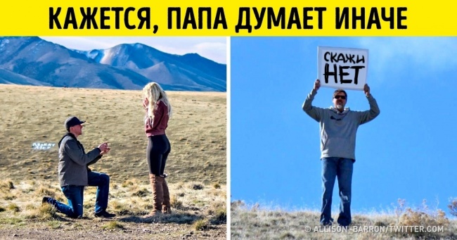 20 фото, на яких нічого незвичайного, якщо не наблизити